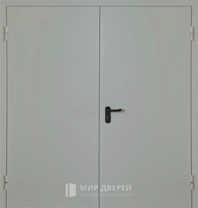 Двупольная огнестойкая глухая дверь EI-60 №5 - фото вид снаружи